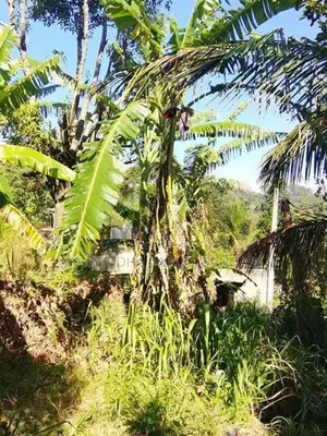 වැලිමඩ නගරයට ආසන්න ඉතා අගනා ඉඩමක් මුදල් හදිස්සියක් සදහා විකීණිමට ඇත