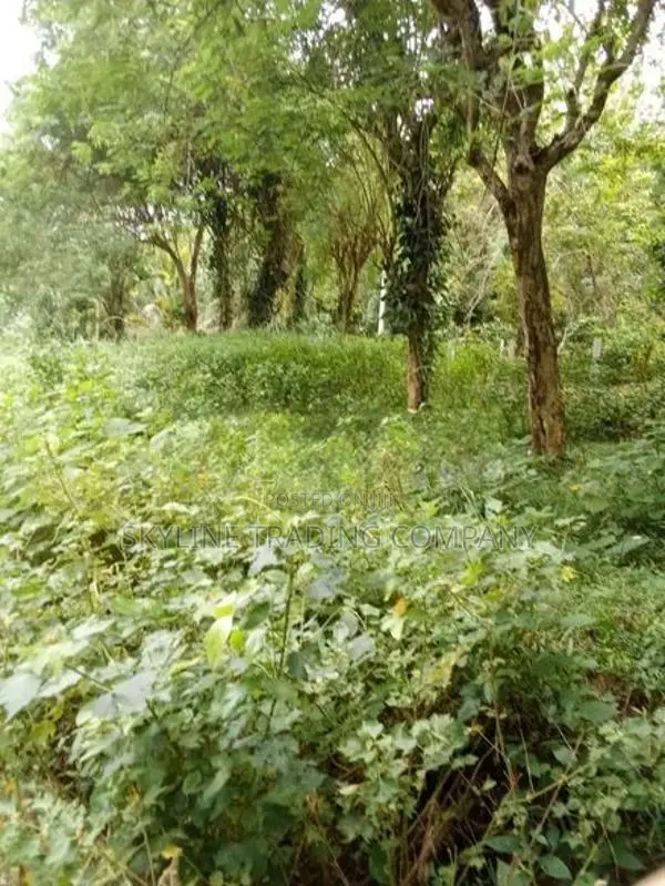 10 Perch Residential Land Plot for Sale – Kaalawila/Darga Town