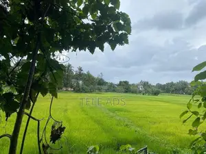 Residential Land in Homagama Town