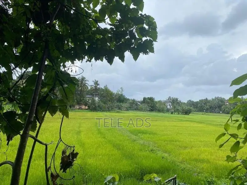 Residential Land in Homagama Town