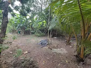25.20-Perch Land for Sale – Kotte ( Property Id - L2600 )