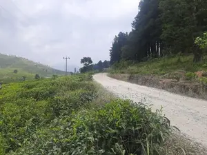 Land for Sale in Ramboda