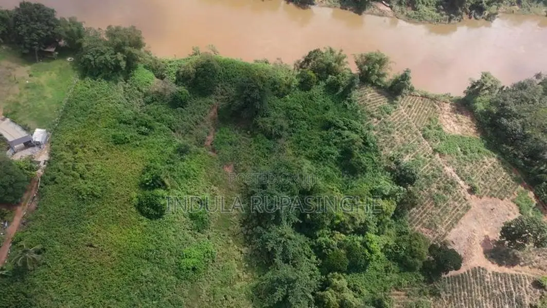 Land for Sale Avissawella