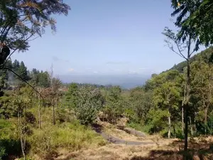 මනස්කාන්ත භුමියක පිහිටි ඉඩම් විකිණීමට - Haputale