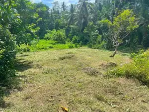 10-Perch Land for Sale – Delgoda ( Property Id - L2601)