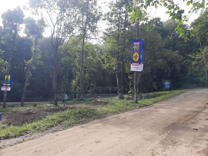 Residential Land for Sale in Sinharagama