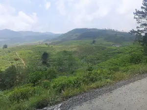 Land for Sale in Ramboda