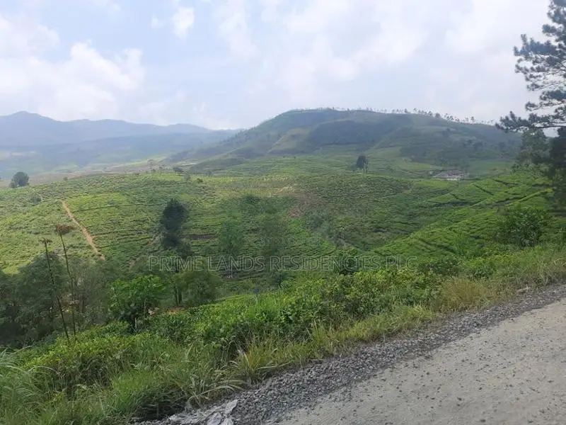 Land for Sale in Ramboda