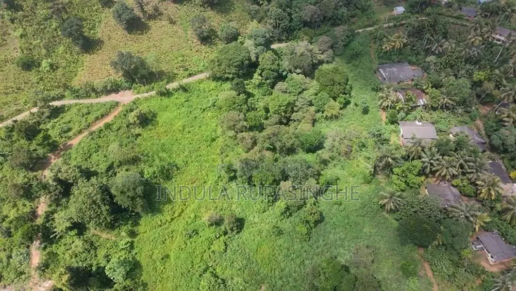 Land for Sale Avissawella