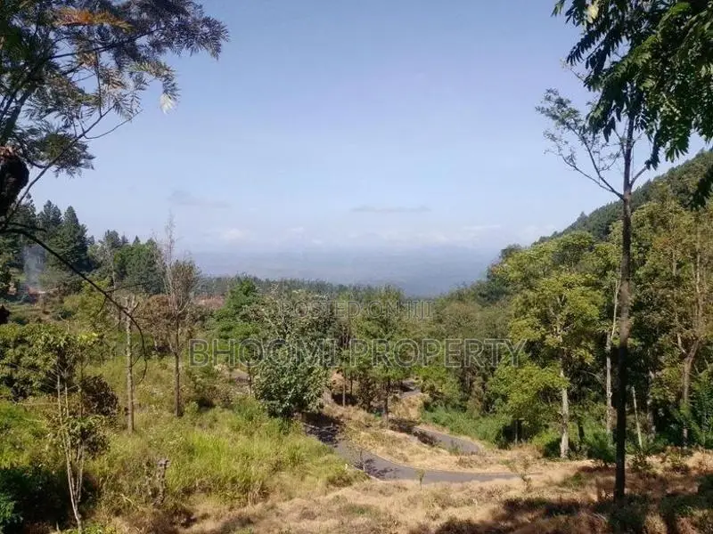 මනස්කාන්ත භුමියක පිහිටි ඉඩම් විකිණීමට - Haputale