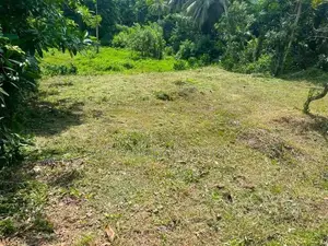 10-Perch Land for Sale – Delgoda ( Property Id - L2601)
