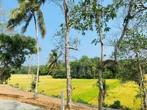 මාතර හොද ඉඩම