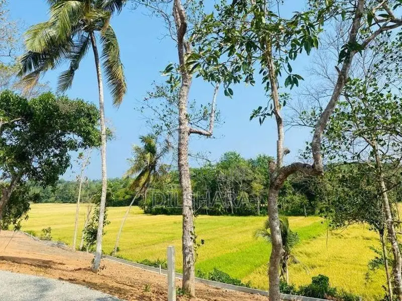 මාතර හොද ඉඩම