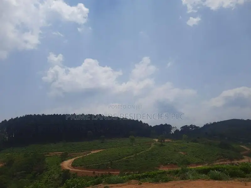 Land for Sale in Ramboda