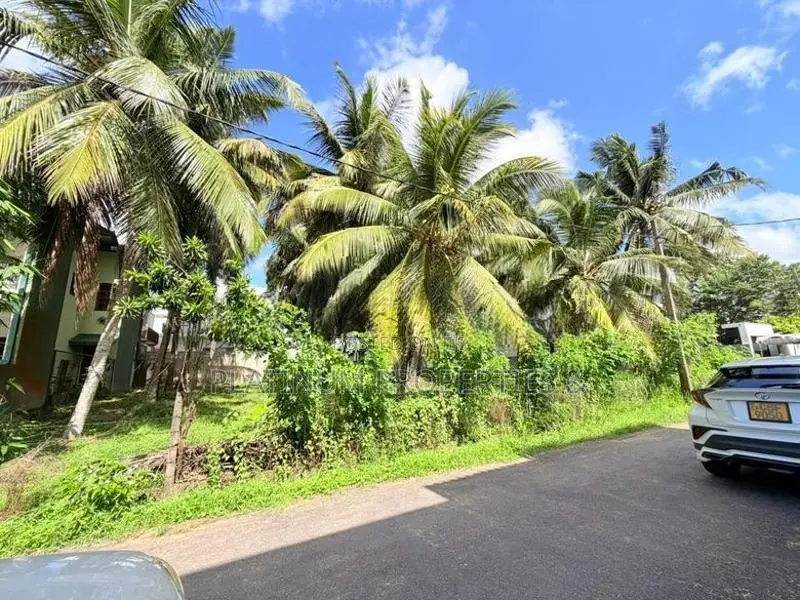 8P , 16P & 24P Lands For Sale Kottawa Rukmalgama - Rayners Range Schem