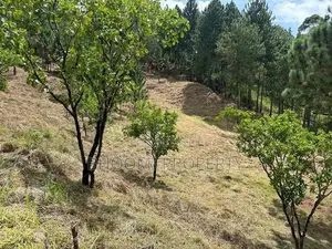 Land for Sale Ella-Kithalella