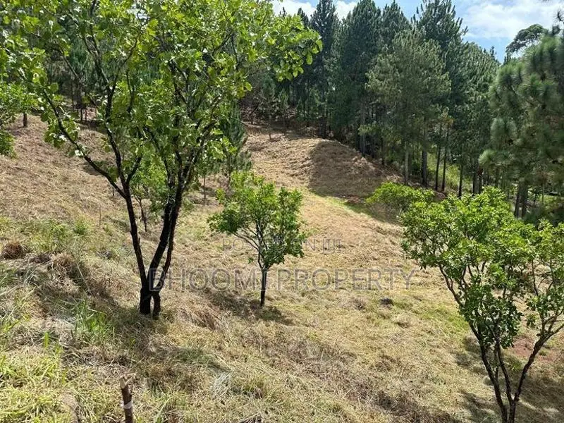 Land for Sale Ella-Kithalella