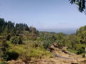 මනස්කාන්ත භුමියක පිහිටි ඉඩම් විකිණීමට - Haputale