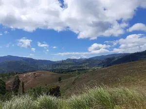 Mountain View Land for Sale in Delthota