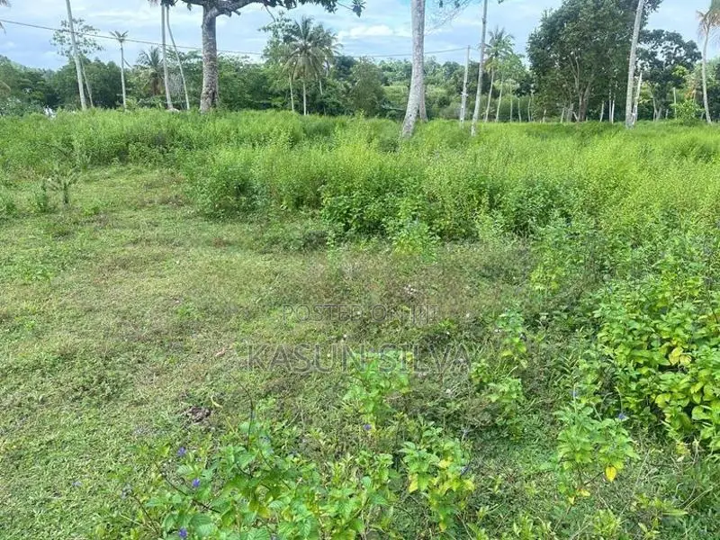 Land for Sale Hikkaduwa with Lake View