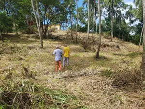 Land for Sale in Ibbagamuwa