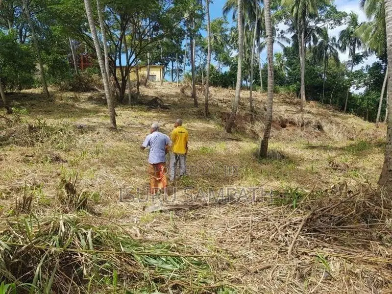 Land for Sale in Ibbagamuwa