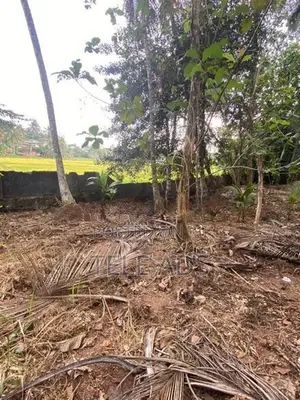 Residential Land in Homagama Town