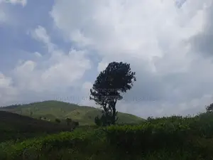 Land for Sale in Ramboda
