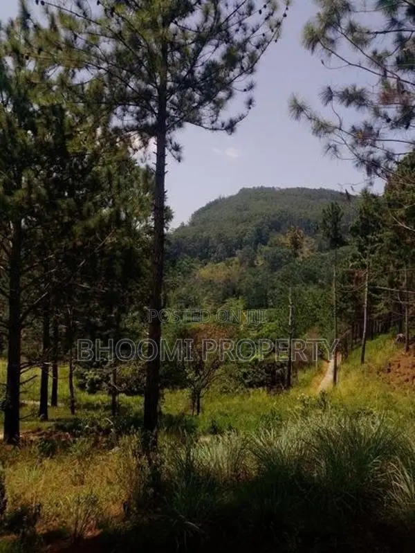 වටිනා බිම් කොටස් කිහිපයක් විකිණීමට කිතලඇල්ල