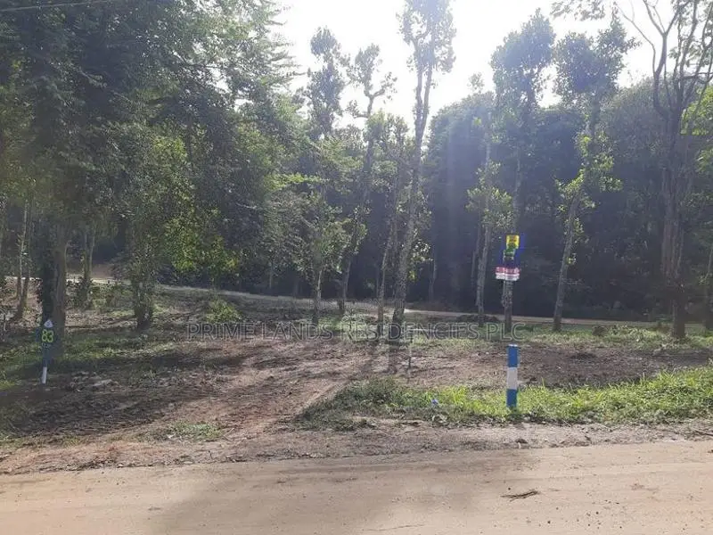 Residential Land for Sale in Sinharagama