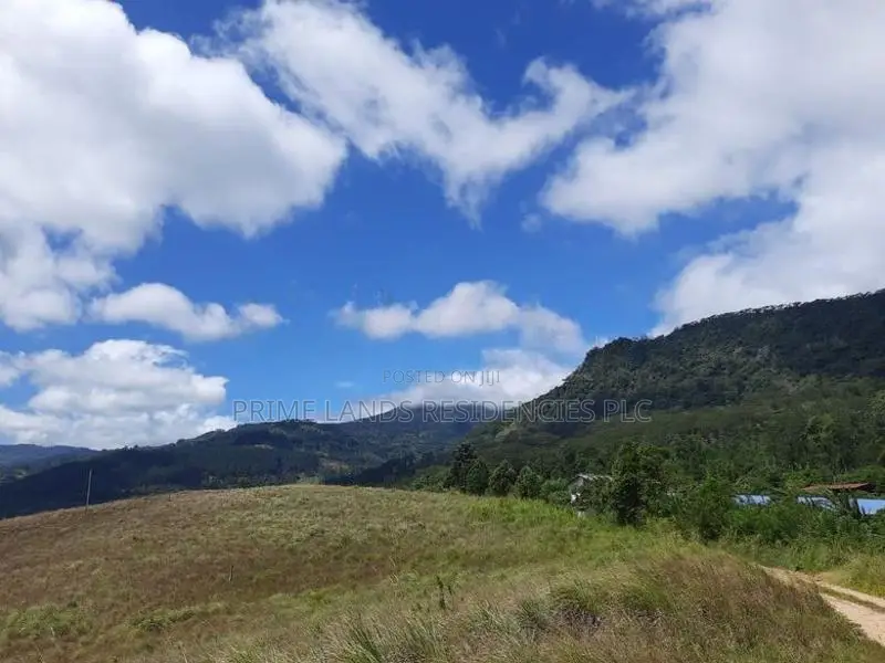 Mountain View Land for Sale in Delthota