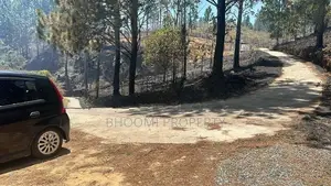 Land for Sale in Kithalella