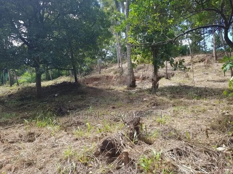 Land for Sale in Ibbagamuwa