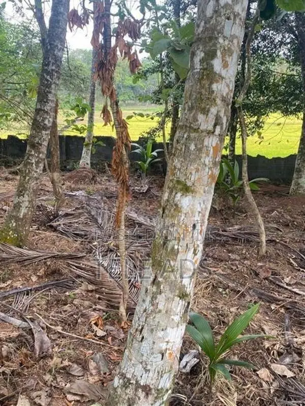 Residential Land in Homagama Town