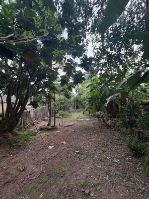 25.20-Perch Land for Sale – Kotte ( Property Id - L2600 )