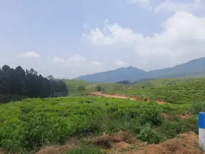 Land for Sale in Ramboda
