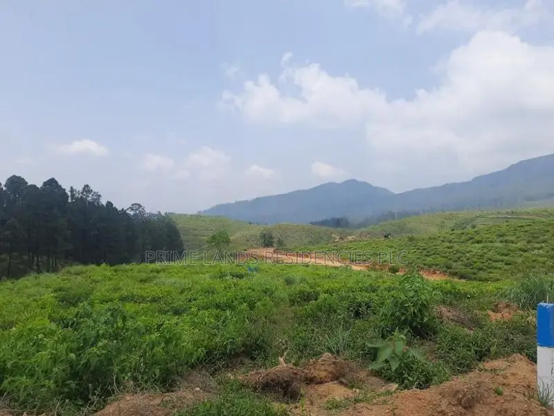 Land for Sale in Ramboda