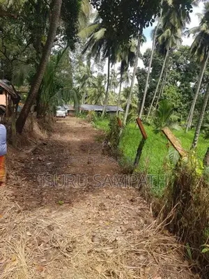 Land for Sale in Ibbagamuwa