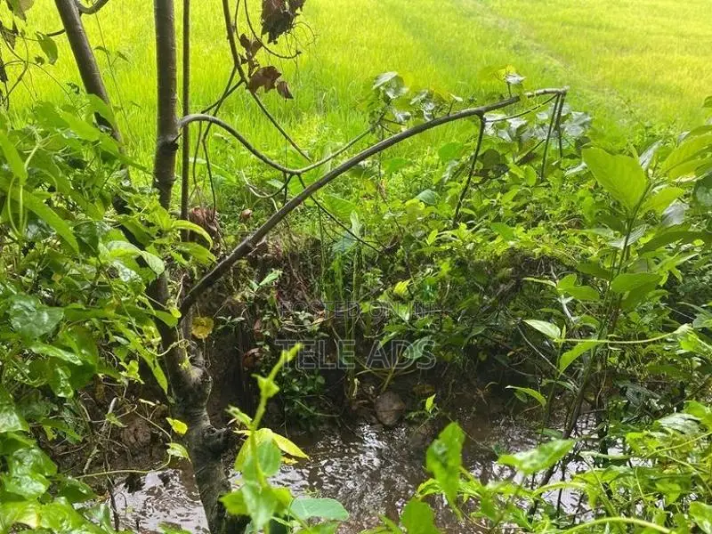 Residential Land in Homagama Town