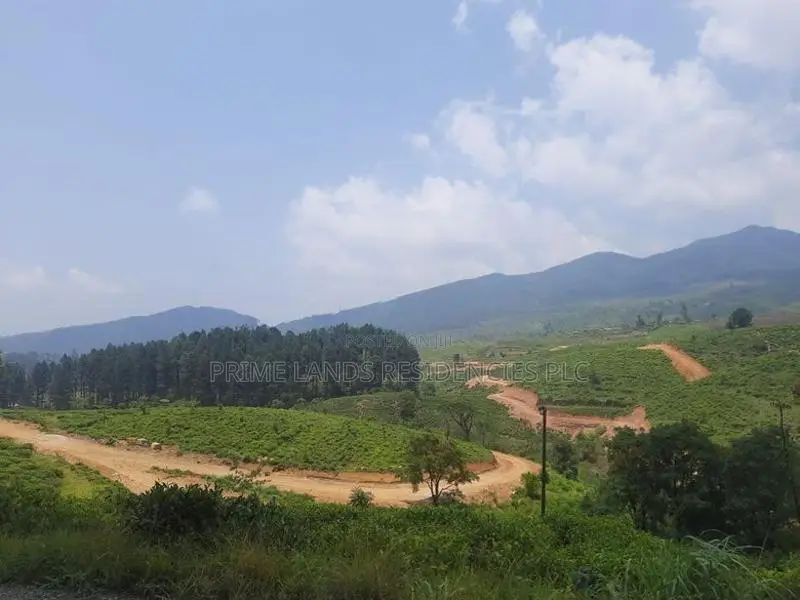 Land for Sale in Ramboda