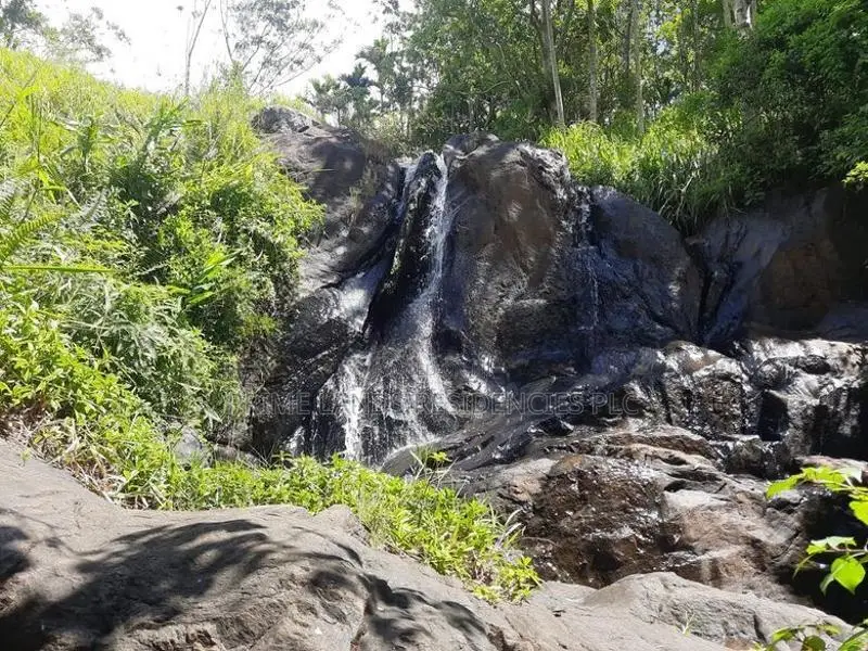 Mountain View Land for Sale in Delthota
