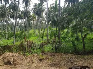 Land for Sale in Ibbagamuwa
