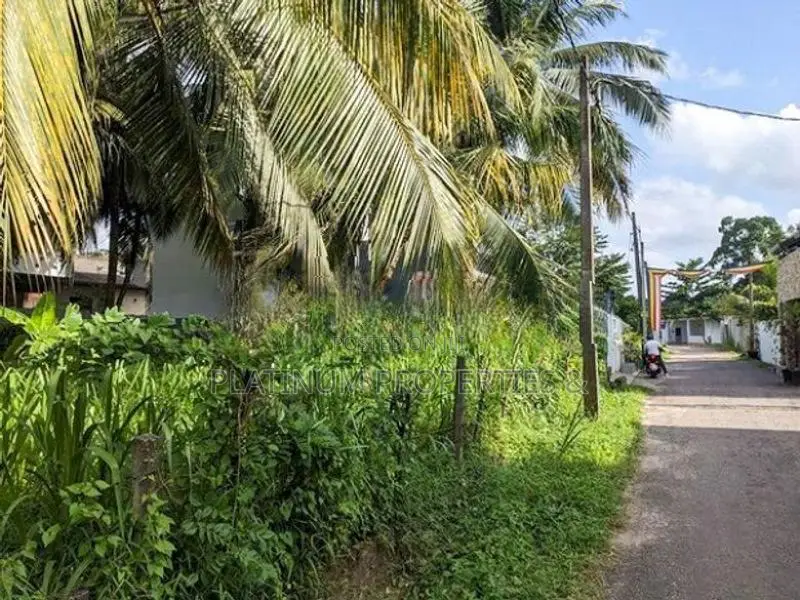 8P , 16P & 24P Lands For Sale Kottawa Rukmalgama - Rayners Range Schem
