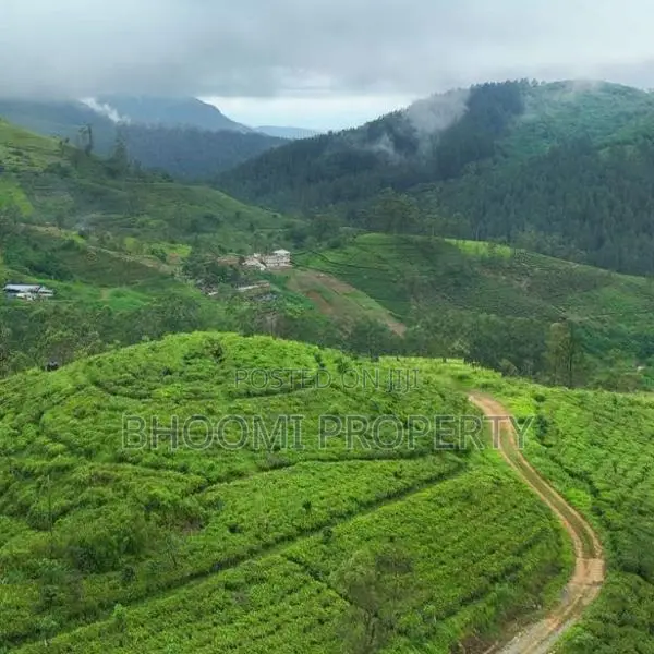Natural Land Plots for Sale in Hatton