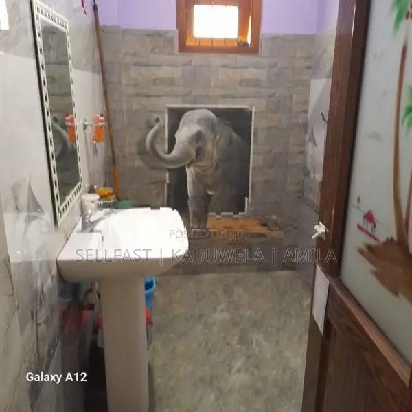 House for Rent (Ground Floor) in Kaduwela