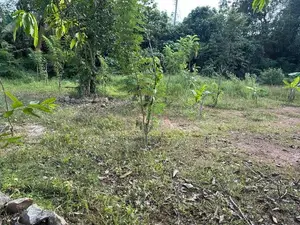 60 Perches Prime Land for Sale in Piliyandala ( Property Id - L2603)