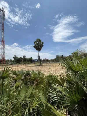 Land for Sale in Karuveppankerny