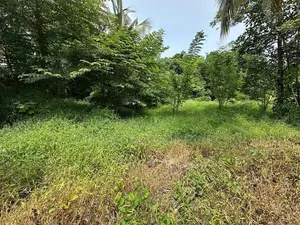 60 Perches Prime Land for Sale in Piliyandala ( Property Id - L2603)