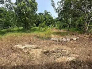 60 Perches Prime Land for Sale in Piliyandala ( Property Id - L2603)