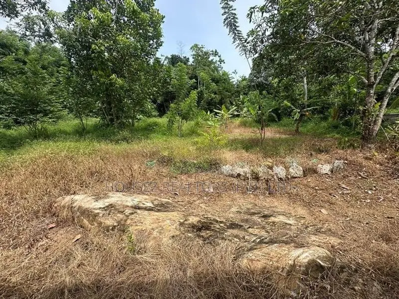 60 Perches Prime Land for Sale in Piliyandala ( Property Id - L2603)